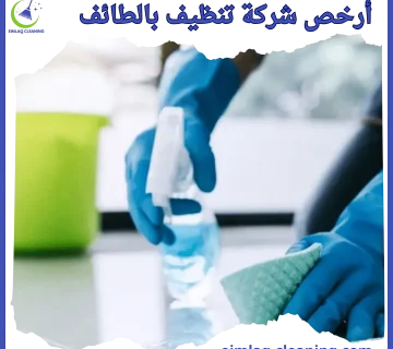 أرخص شركة تنظيف بالطائف