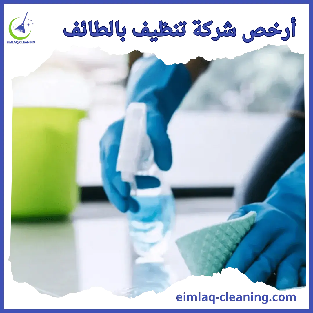 أرخص شركة تنظيف بالطائف